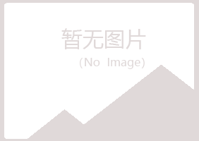 福建山柳机械有限公司